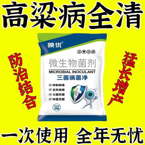 高粱主要病害防治与专用微生物肥料应用指南