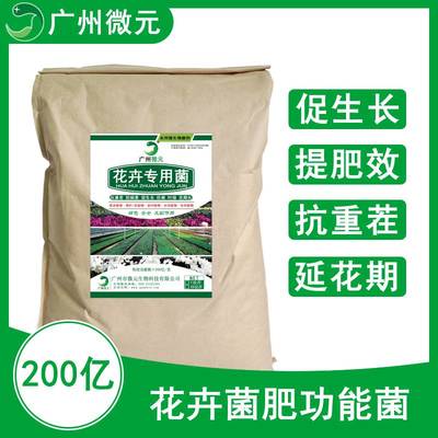 花卉有机种植技术 从标准到微生物菌剂的高效应用